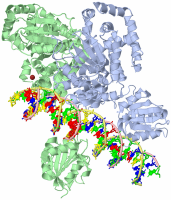 Image Biological Unit 1