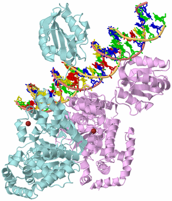 Image Biological Unit 2