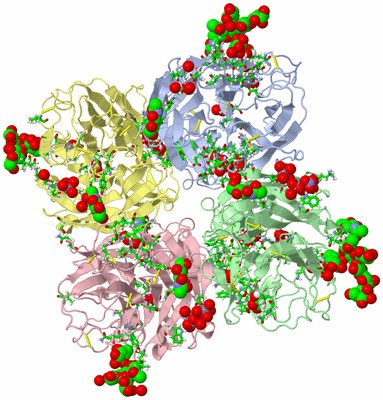 Image Biol. Unit 1 - sites