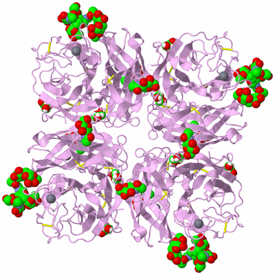 Image Biological Unit 2