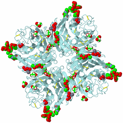 Image Biological Unit 3