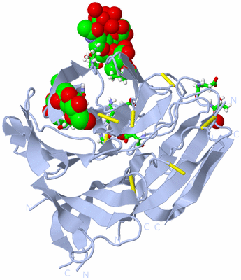 Image Biol. Unit 1 - sites