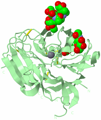 Image Biological Unit 2