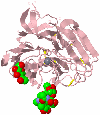 Image Biological Unit 3