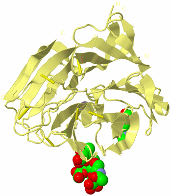 Image Biological Unit 4