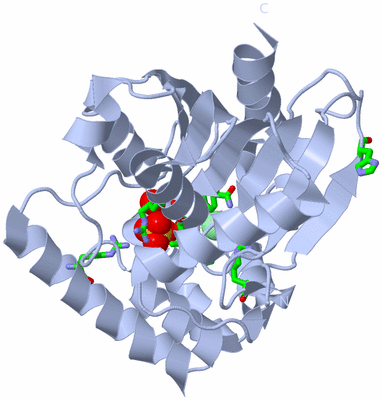 Image Biol. Unit 1 - sites