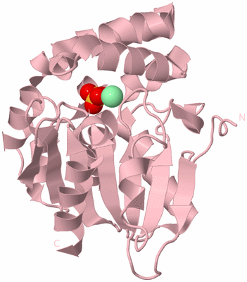 Image Biological Unit 3