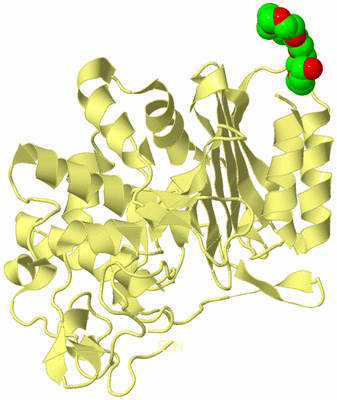 Image Biological Unit 4