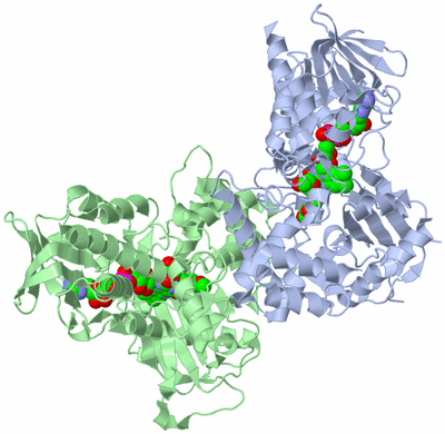 Image Biological Unit 1