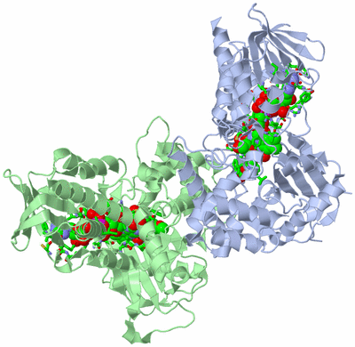 Image Biol. Unit 1 - sites