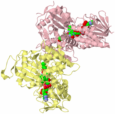 Image Biological Unit 2