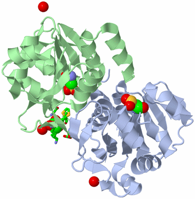 Image Biol. Unit 1 - sites