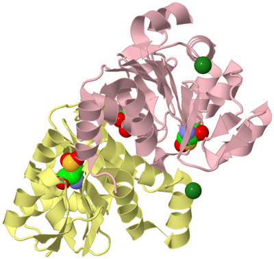 Image Biological Unit 2