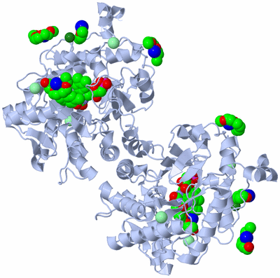 Image Biological Unit 1