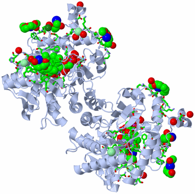 Image Biol. Unit 1 - sites