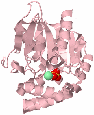 Image Biological Unit 3