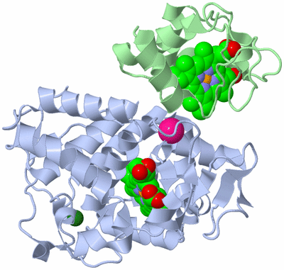 Image Asym./Biol. Unit