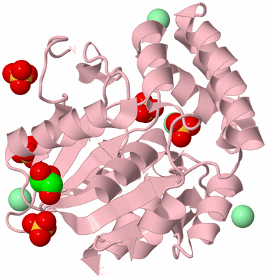 Image Biological Unit 3