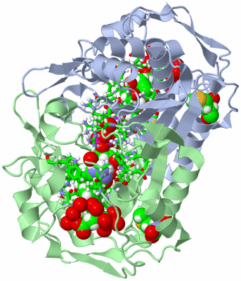 Image Asym./Biol. Unit - sites