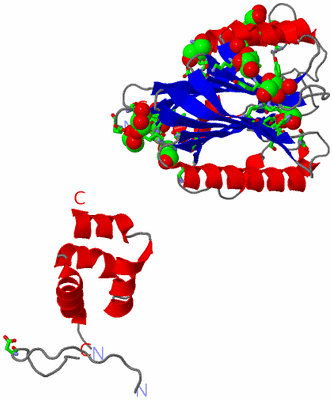 Image Asym. Unit - sites