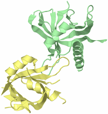 Image Biological Unit 2