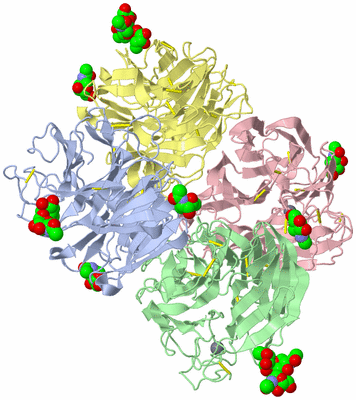 Image Biological Unit 1