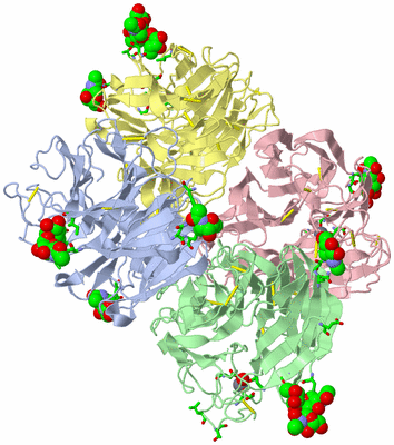 Image Biol. Unit 1 - sites