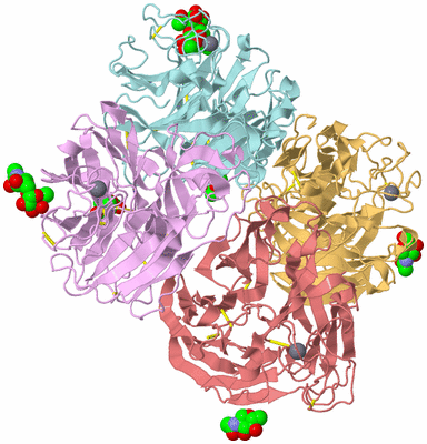 Image Biological Unit 2