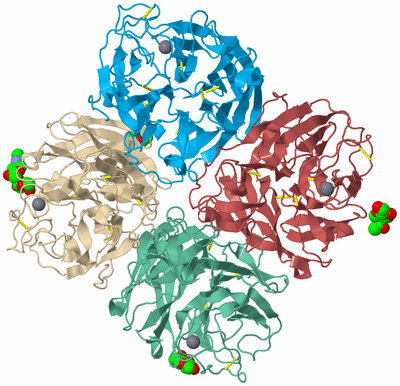 Image Biological Unit 3