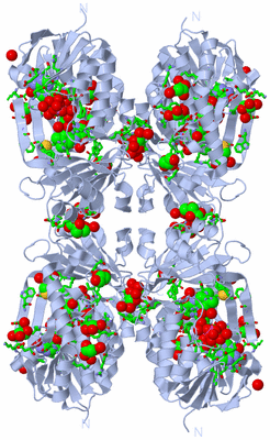 Image Biol. Unit 1 - sites