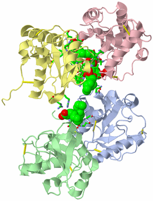 Image Asym./Biol. Unit - sites