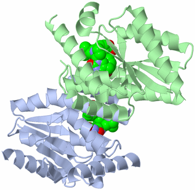 Image Asym./Biol. Unit