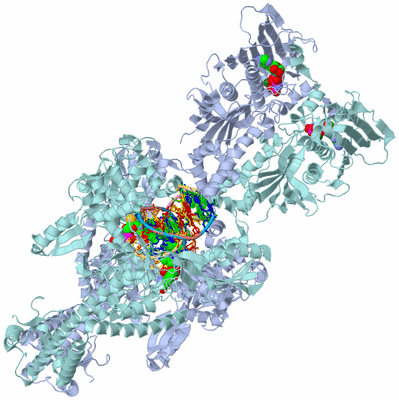 Image Asym./Biol. Unit