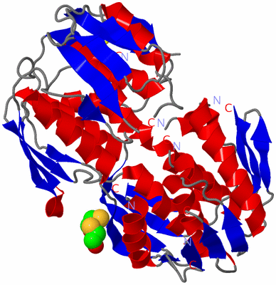 Image Asym./Biol. Unit