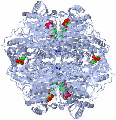 Image Biological Unit 1