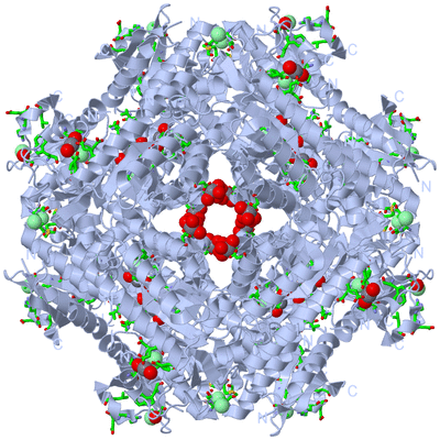 Image Biol. Unit 1 - sites