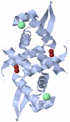 Image Biological Unit 1