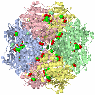 Image Biological Unit 1