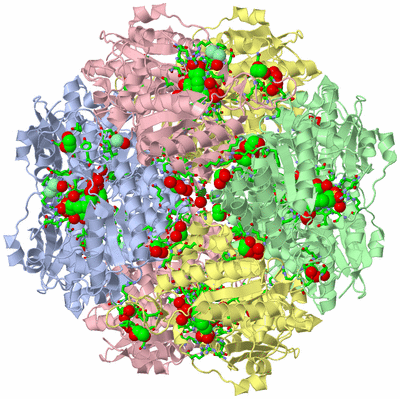 Image Biol. Unit 1 - sites