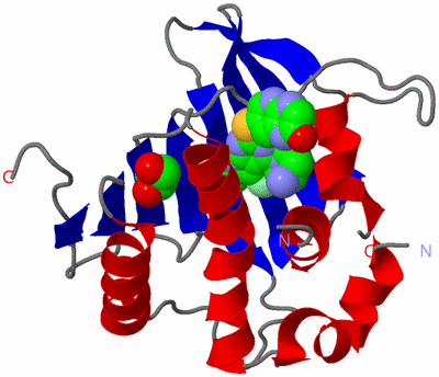 Image Asym./Biol. Unit