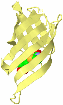 Image Biological Unit 4