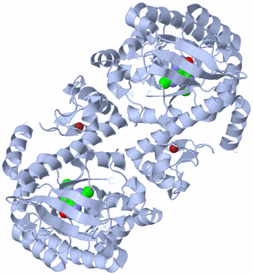 Image Biological Unit 1