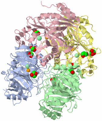 Image Asym./Biol. Unit