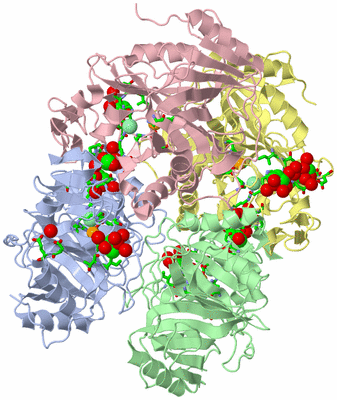 Image Asym./Biol. Unit - sites