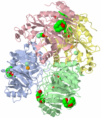 Image Asym./Biol. Unit