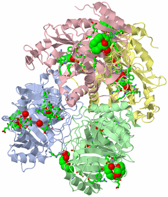 Image Asym./Biol. Unit - sites