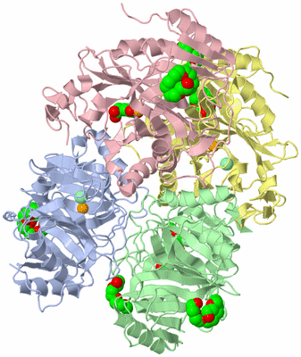 Image Asym./Biol. Unit