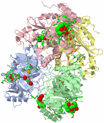 Image Asym./Biol. Unit - sites