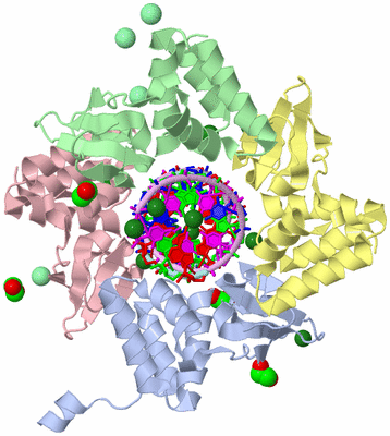 Image Biological Unit 1