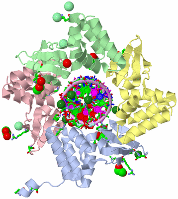 Image Biol. Unit 1 - sites